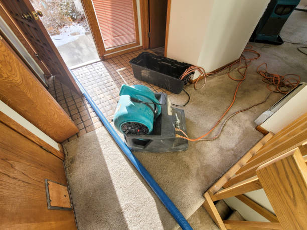 Best Commercial water damage restoration  in Pleasant Prairie, WI