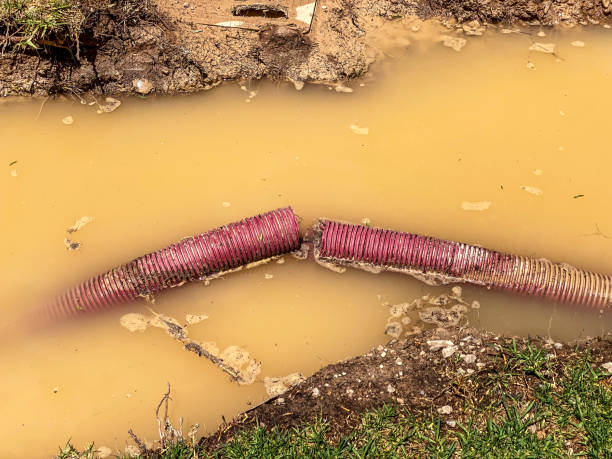 Best Basement water damage restoration  in Pleasant Prairie, WI