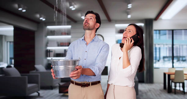 Best Ceiling water damage repair  in Pleasant Prairie, WI
